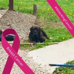 Meet your Posher, Barb